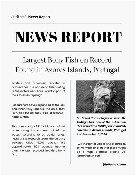 News Report .